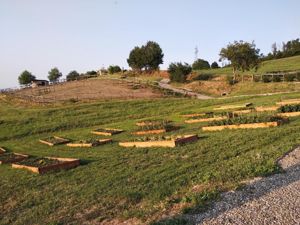 Tenuta I Musi Lunghi Lesignano de' Bagni Екстериор снимка